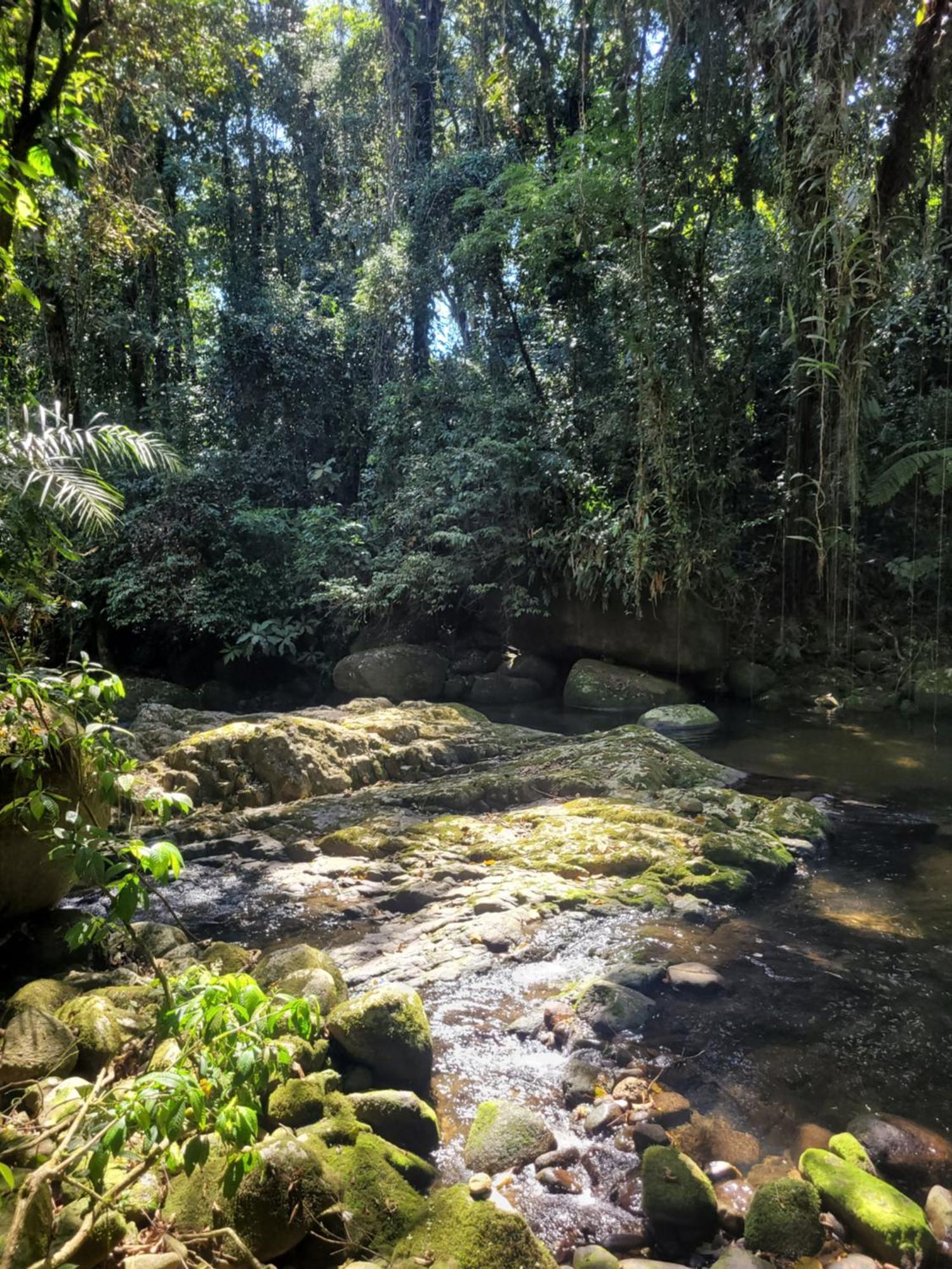 Casa de férias Casa Ecologica Ubatuba